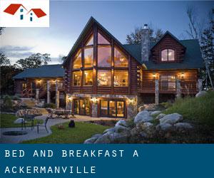 Bed and Breakfast a Ackermanville
