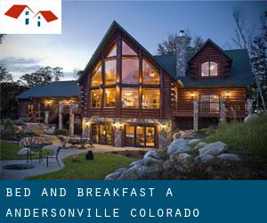Bed and Breakfast a Andersonville (Colorado)