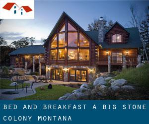Bed and Breakfast a Big Stone Colony (Montana)