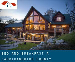 Bed and Breakfast a Cardiganshire County