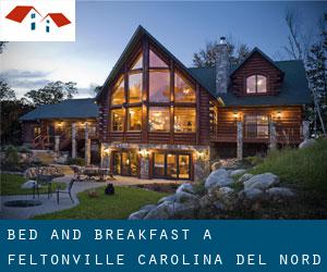 Bed and Breakfast a Feltonville (Carolina del Nord)